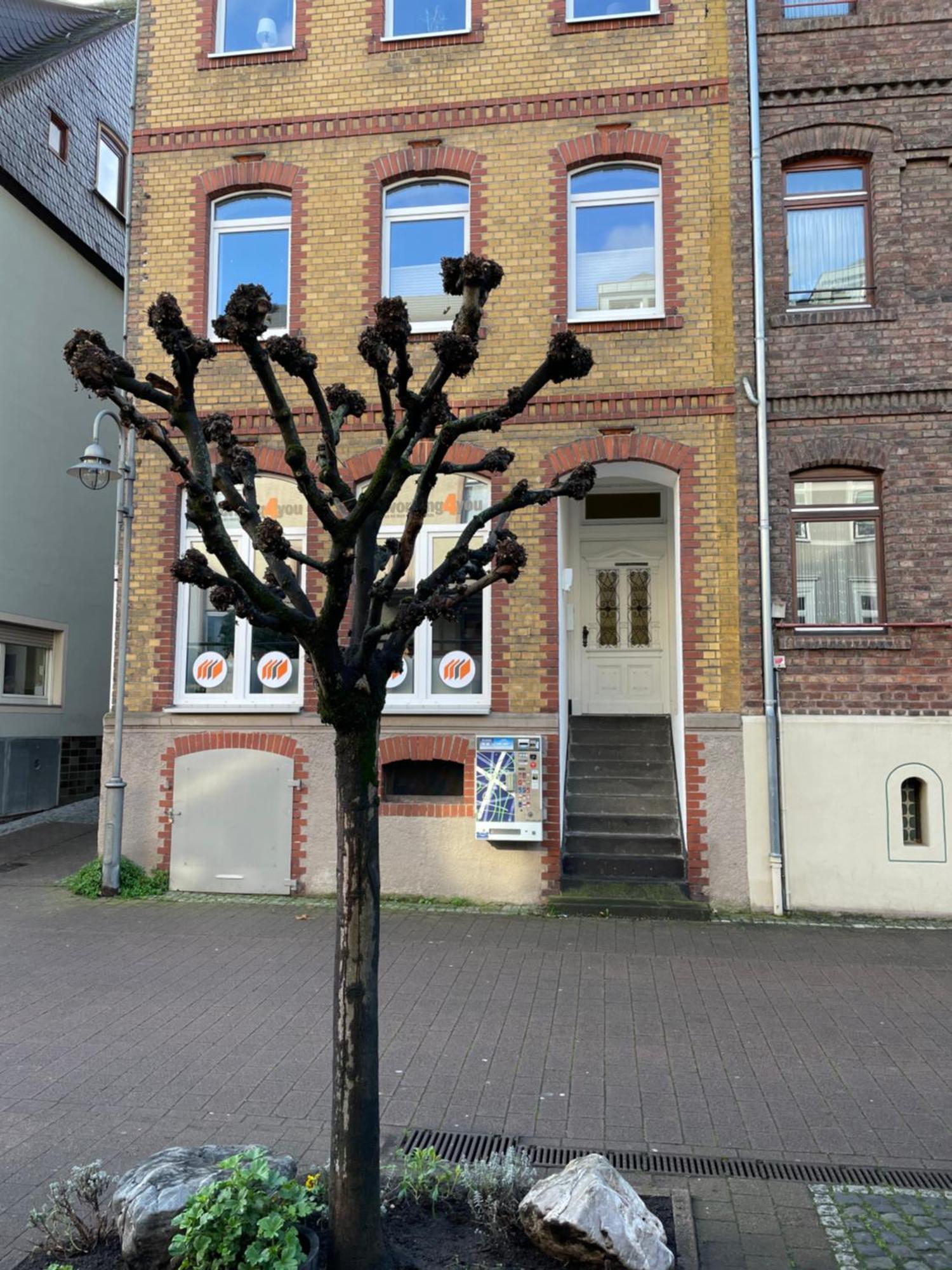 Good Times In St. Goar Lejlighed Sankt Goar Eksteriør billede